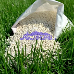 Best Nitrogen Fertilizer for Lawns