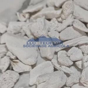 Agri Grade Bone Char Reducing Heavy Metals Pesticide Residues in Soil