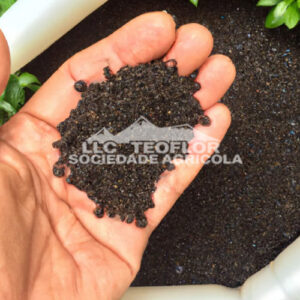 Agriculture Uses Humic Acid Fertilizer