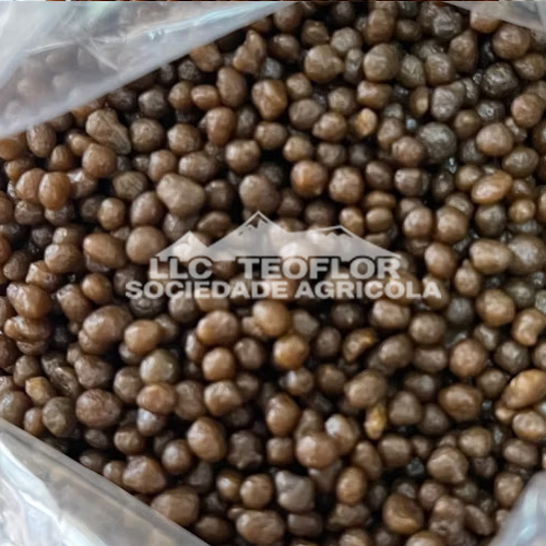 Agriculture Widely Used Fertilizer Diammonium Phosphate