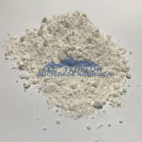 Bone Ash Powder Enhances Translucency And Smooth Surface
