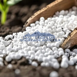 Calcium Nitrate Enhance Plants' Tolerance to Environmental Stresses
