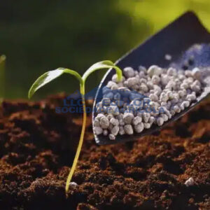 Calcium Nitrate- Essential Nutrients For Growth And Development