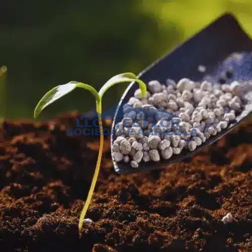 Calcium Nitrate- Essential Nutrients For Growth And Development