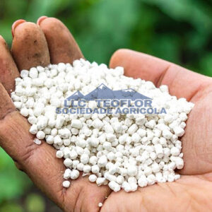 Calcium Nitrate-high-quality Plant Nutrient