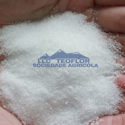 Canola Early Growth Stage Ammonium Phosphate Dibasic White Crystal Powder