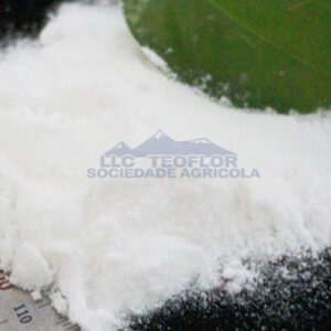 Carbon and its inorganic compounds