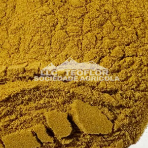 Citric Acid Chelated Iron Chelated Fe 6