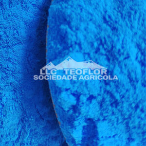 Citric Acid Chelated Trace Elements Copper Citrate