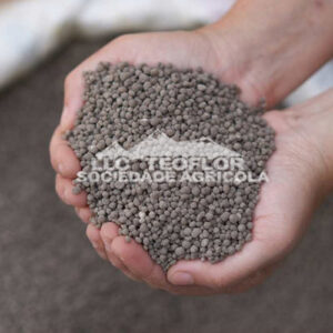 DAP Fertilizer Enhanced Healthy Benefit For Crops