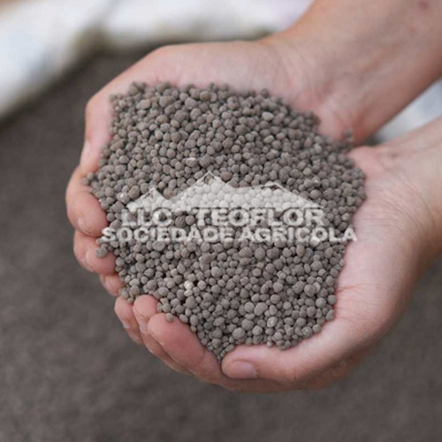 DAP Fertilizer Enhanced Healthy Benefit For Crops