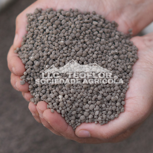 Diammonium Phosphate (DAP)