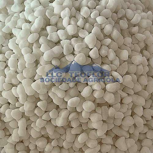 During Flowering Ammonium Phosphate Dibasic Fertilizer