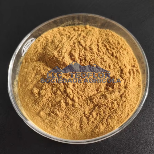 EDTA Fe 13% Chelated Iron Fertilizer Powder For Agriculture