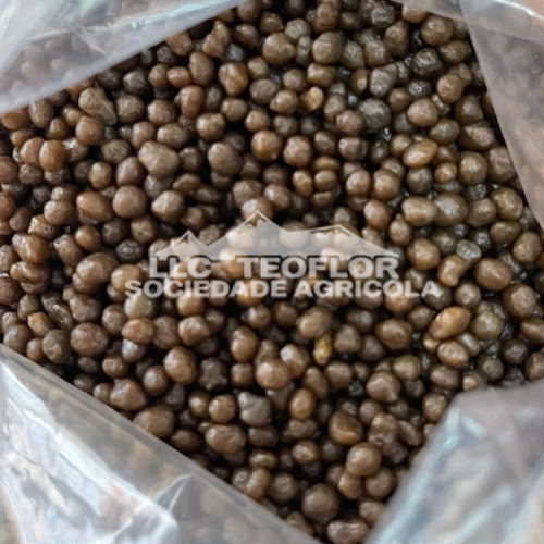 Early Growth Support Barley Crop Diammonium Phosphate