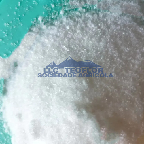 Eco-Friendly Monobasic Ammonium Phosphate For Strong Roots Development