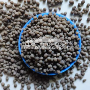 Enhance Overall Crop Productivity Phosphorus Top Dressing DAP Fertilizer