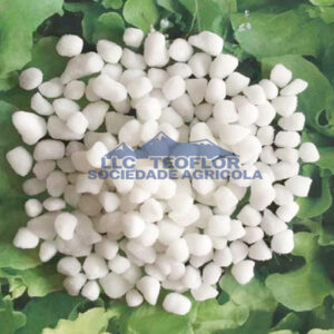 Enhance Plants Tolerance Calcium Magnesium Nitrate Fertilizer