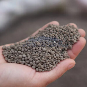 Essential Nutrients Cereal Crops DAP Diammonium Phosphate Basal Fertilizer