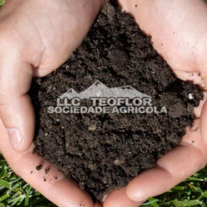 Foliar application Calcium Nitrate Providing a Quick Nutrient Fertilizer