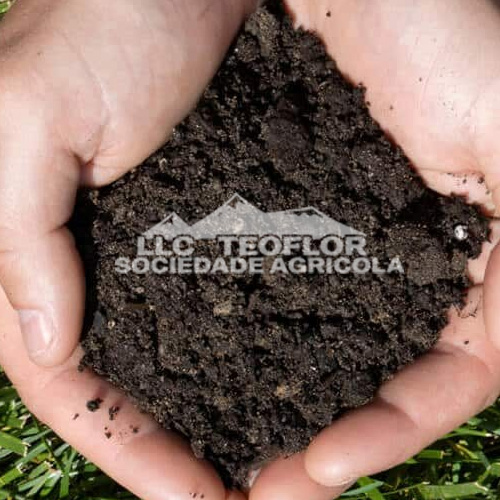 Foliar application Calcium Nitrate Providing a Quick Nutrient Fertilizer