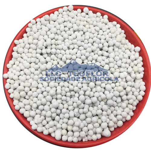 Fruit Trees Nutrients Inhance Ammonium Phosphate Dibasic Ferilizer