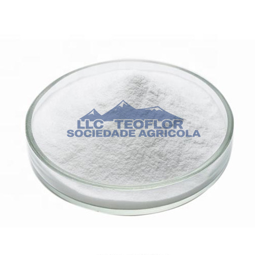 Gibberellins Acid