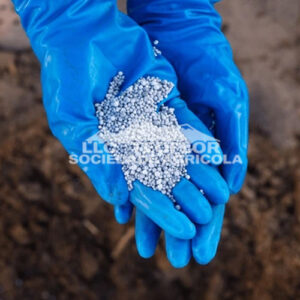 High-Efficiency Ca-Mg Nitrate For Crops