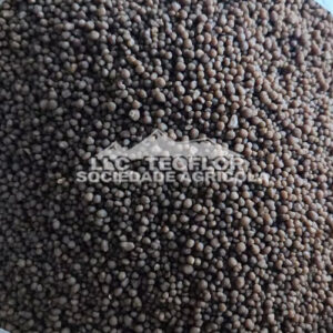 High Nutrient Content Early Stage Diammonium Hydrogen Phosphate (DAP)