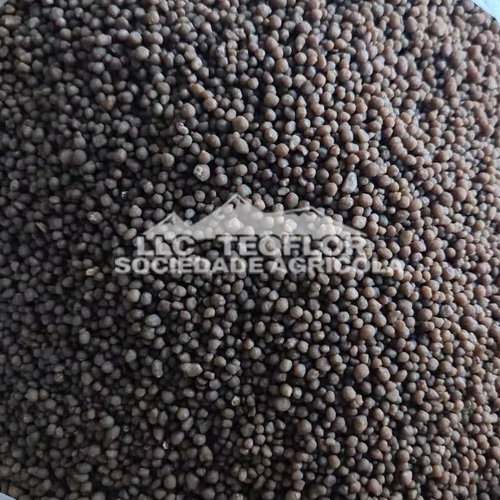 High Nutrient Content Early Stage Diammonium Hydrogen Phosphate (DAP)