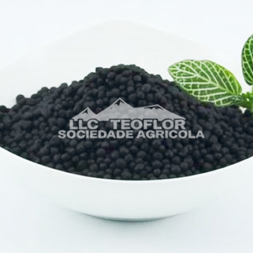 Humic Acid 45% Organic Fertilizer