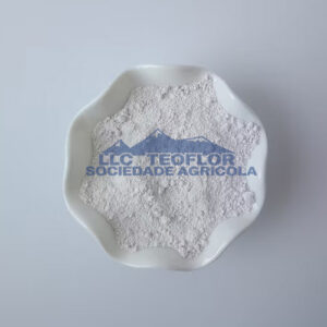 Key Material Ceramics & Porcelain Pure Bone Ash (Bone Powder)