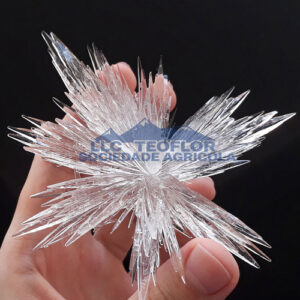 Monoammonium Phosphate Crystal