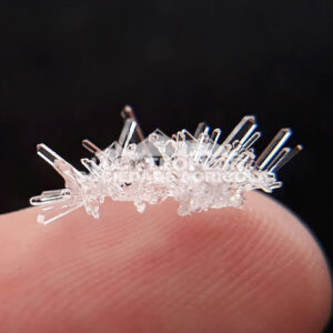 Monoammonium Phosphate Crystal Growing