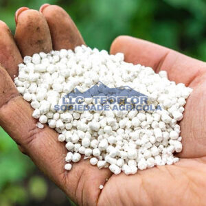 Nitrogen Fertilizer