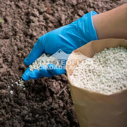 Nitrogen Rich Fertilizer for Plants