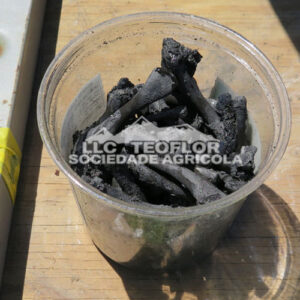 Nutrient Source For Crops Agri Use Bone Char