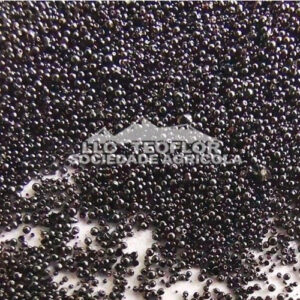 OceanGrow Fertilizer Seaweed Extract