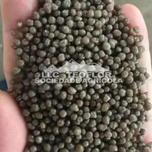 Onions Phosphorus Top Dressing DAP Fertilizer