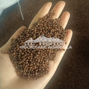 Phosphate Fertilizer - DAP The Top Dressing