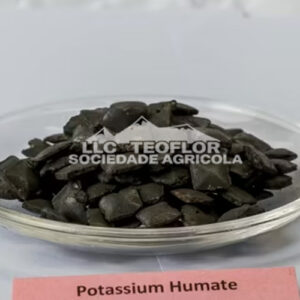 Potassium Humate Tablet Fertilizer