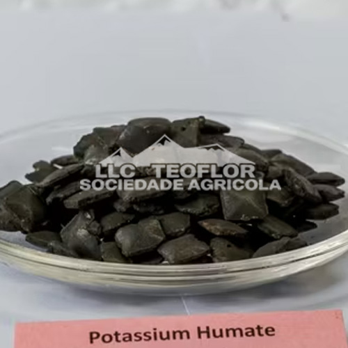 Potassium Humate Tablet Fertilizer