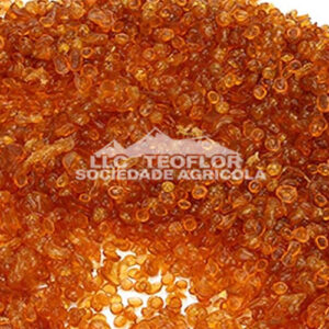 Reversibility Bone Glue