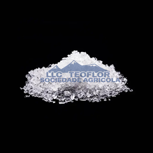 Sodium Salt As Food Preservative
