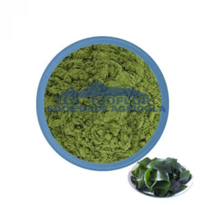 Soluble Seaweed Powder-natural Food Additive Fertilizer