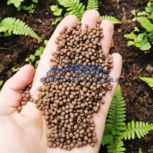 Sugarcane Crops Diammonium Phosphate Encourages Strong Root Growth Basal Fertilizer