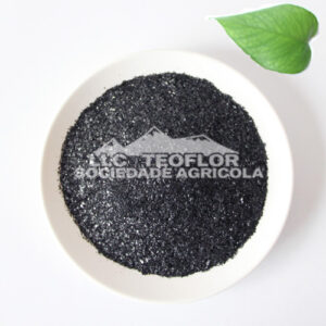 Supplements Natural Fertilizer Sodium Humate Powder 60% Humic Acid