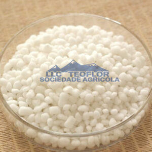 Top Seller Agricultural Fertilizer Calcium Magnesium Nitrate in China