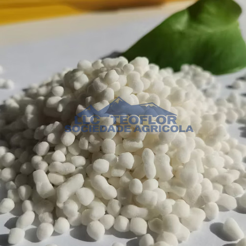 Use Of Calcium Nitrate in Plants