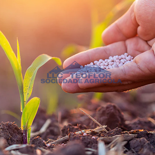 Various Stages Of Crop Growth- Urea Ammonium Nitrate Liquid